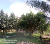 3 Bedroom House For Sale at Nsawam