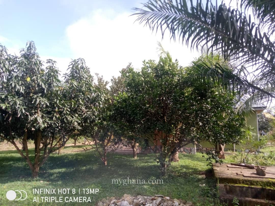 3 Bedroom House For Sale at Nsawam
