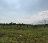 Affordable 260 Acres Land For Sale A Few Minutes Drive From Kasoa (Auction)