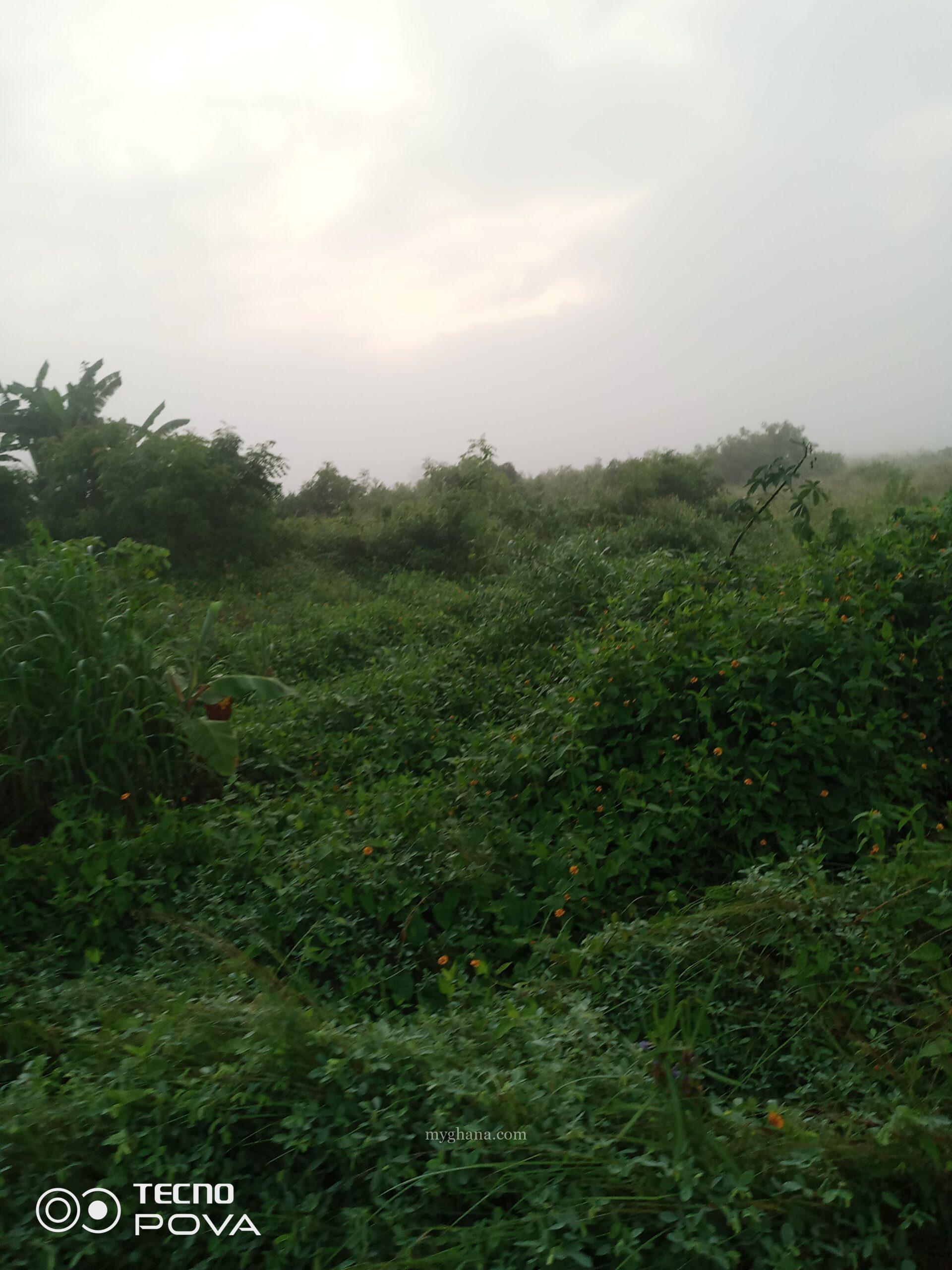 Farm land for sale