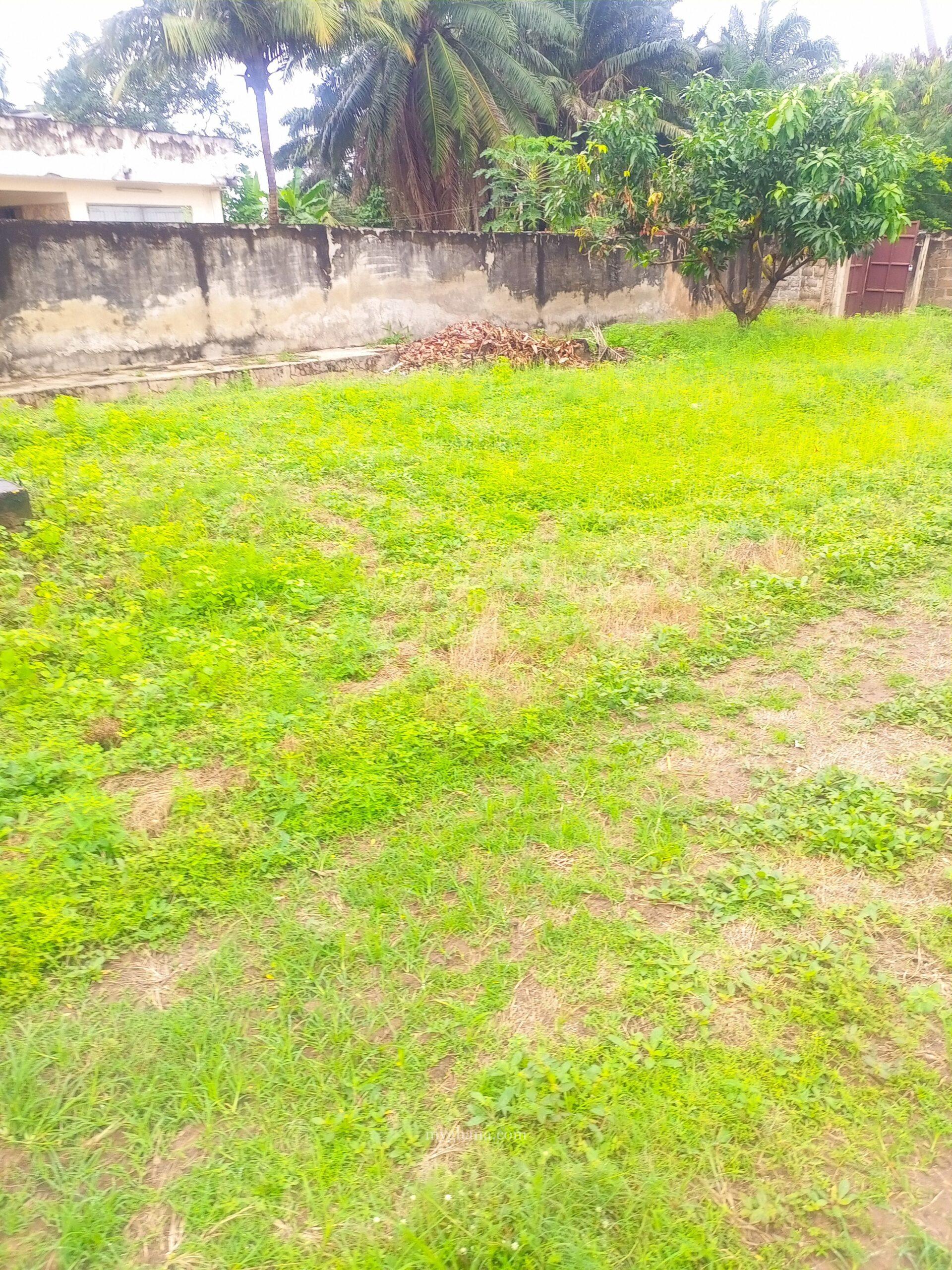 3 Plots for Sale at Adenta Ritz