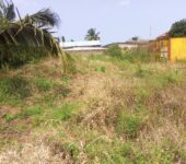 2&Half Plots With 7stores Infront for Sale at Spintex