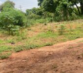 2 acres of land for sale at Mlichakpo Ghana