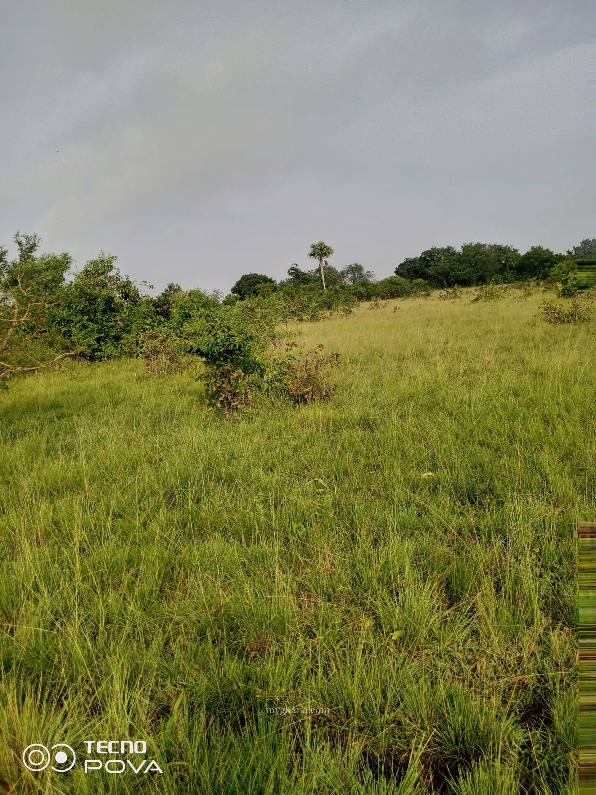 Farm land for lease
