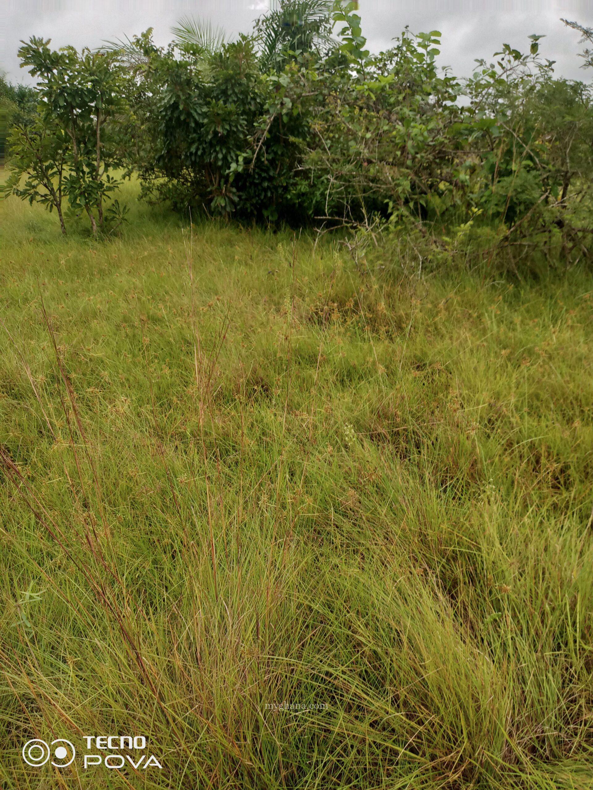 5000 acres of farm land for sale