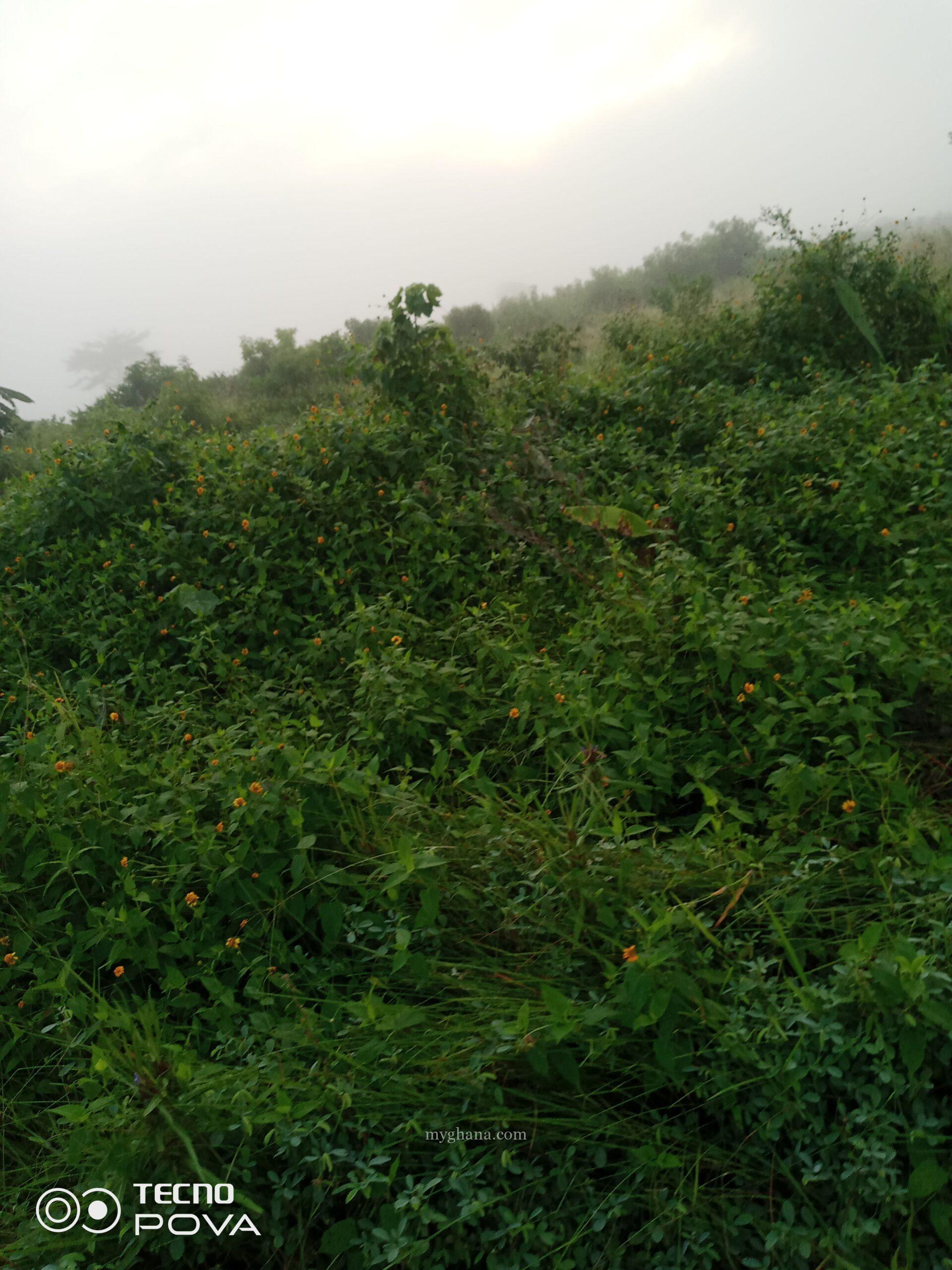 Farm land for sale