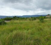 Litigation free Farm land for sale at Juapong