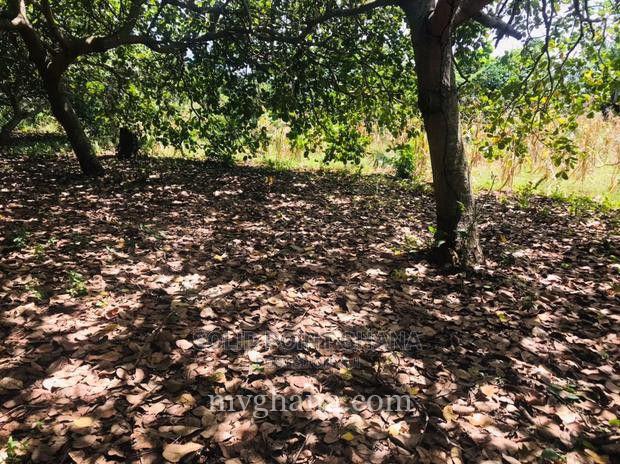 Plot for sale by Solid Point Ghana Limited in Techiman