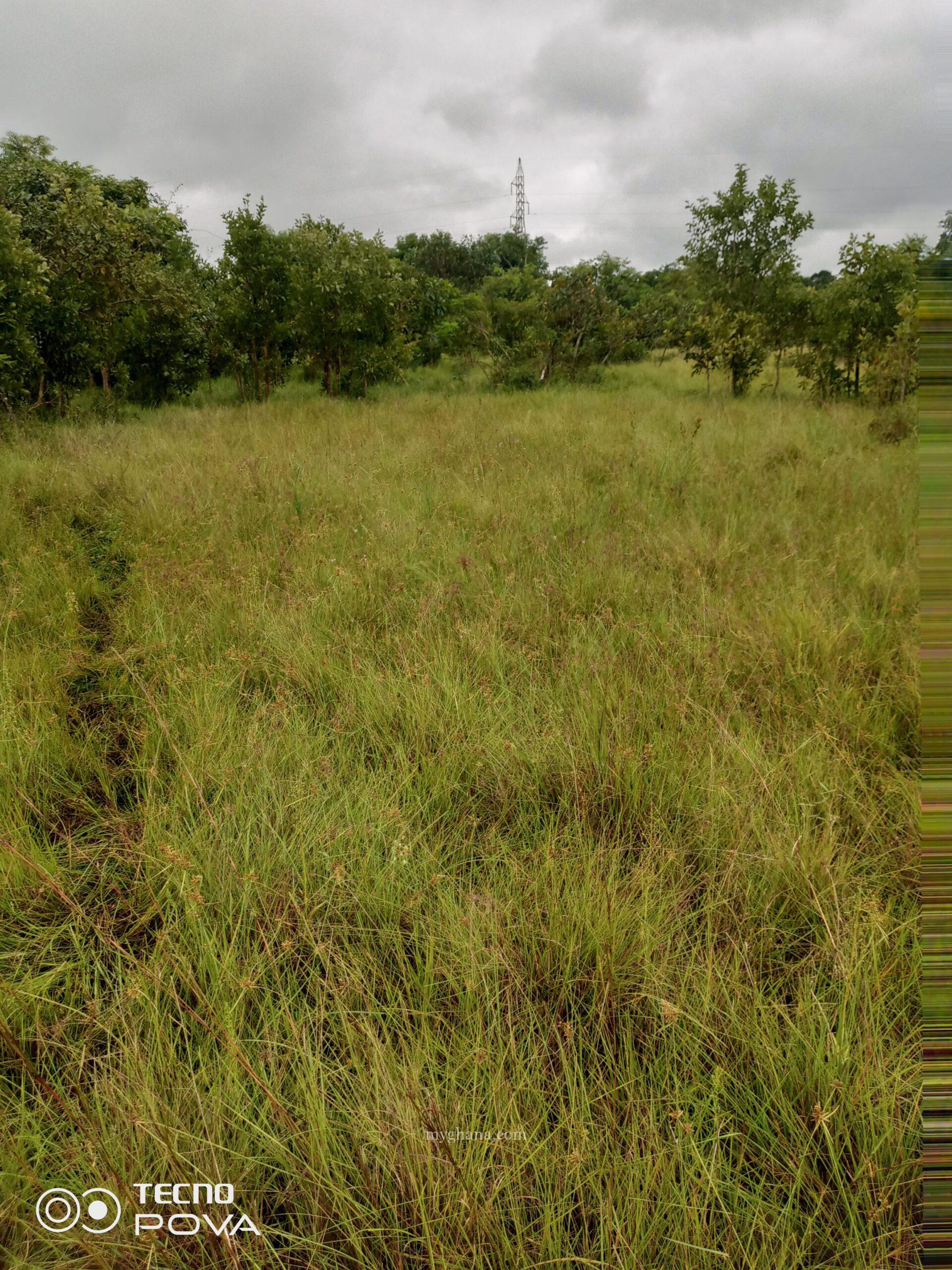 5000 acres of farm land for sale