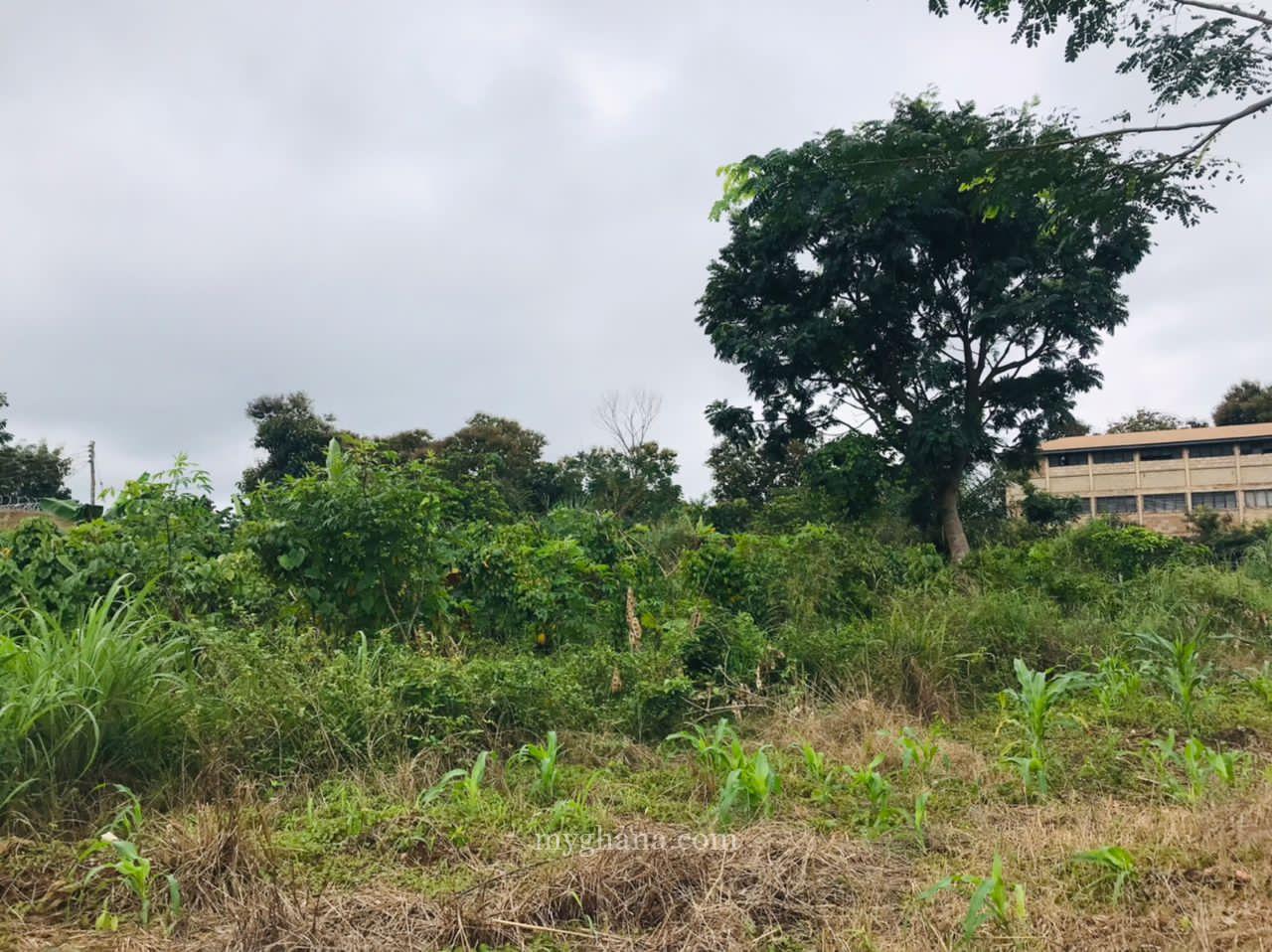 Plot for sale in Techiman by Solid Point Ghana Limited