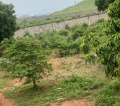 2 acres of land for sale at Mlichakpo Ghana