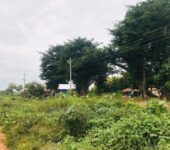 Commercial land for sale by Solid Point Gh Ltd