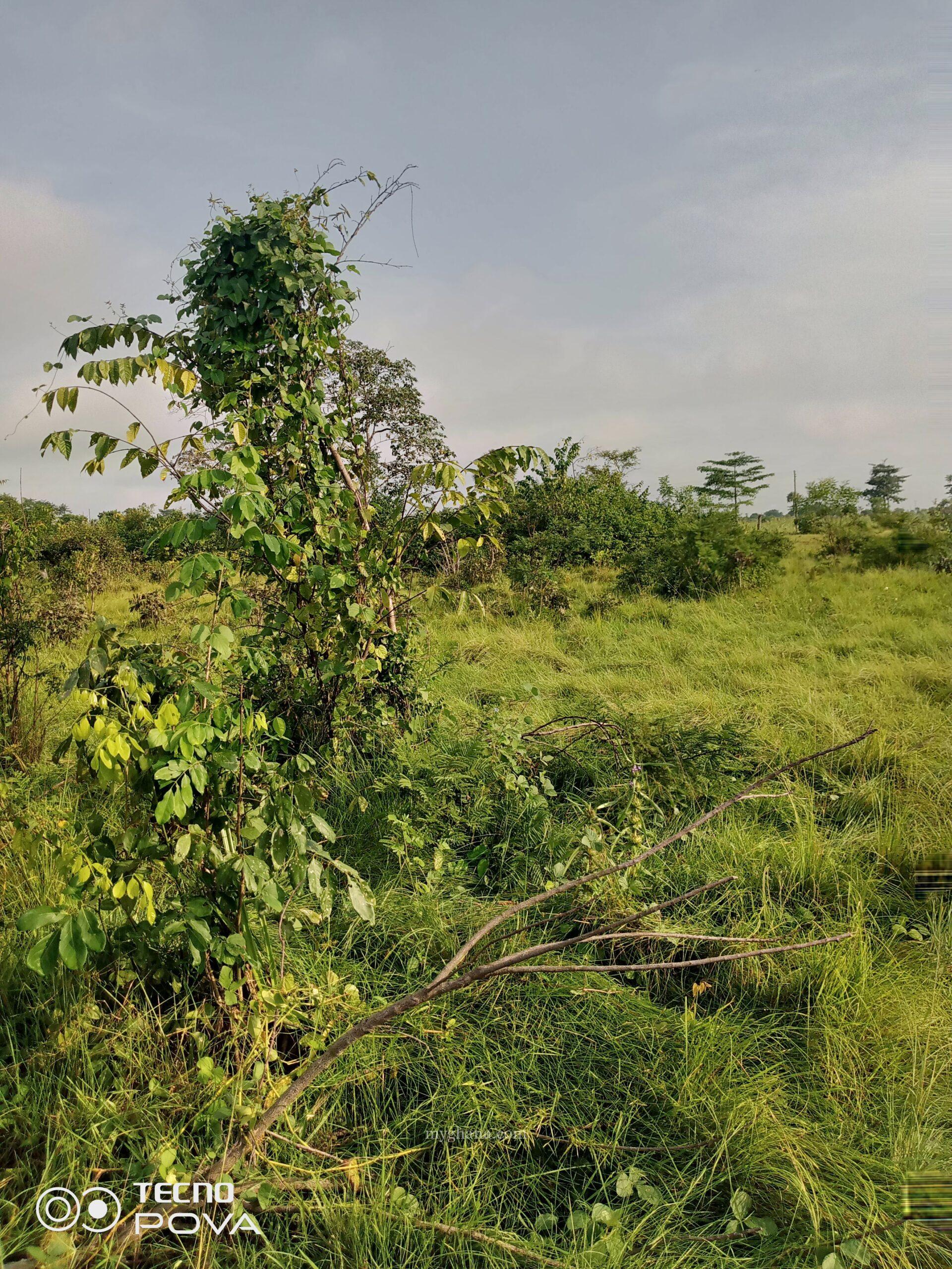 Farm land for lease