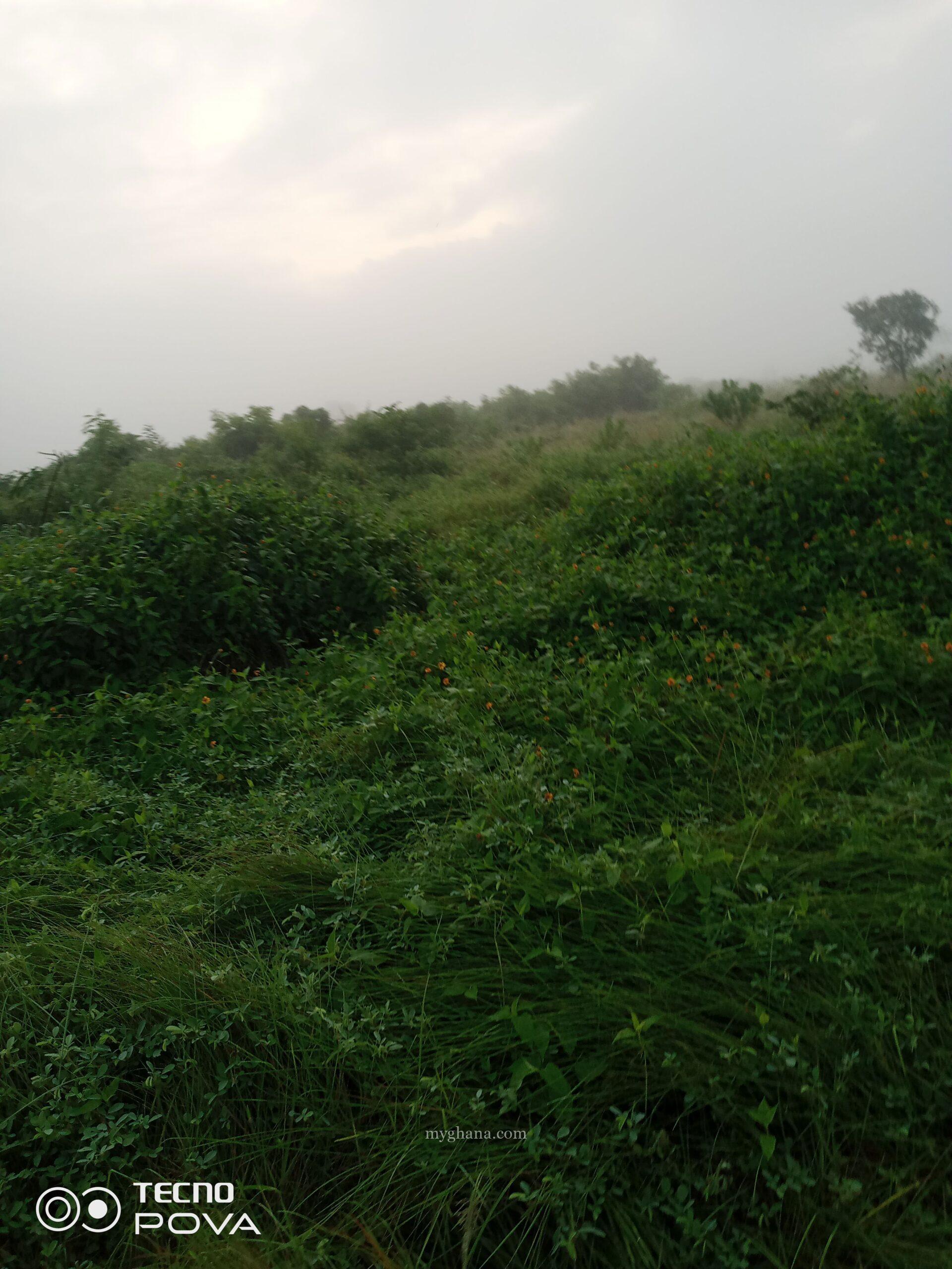 Farm land for sale
