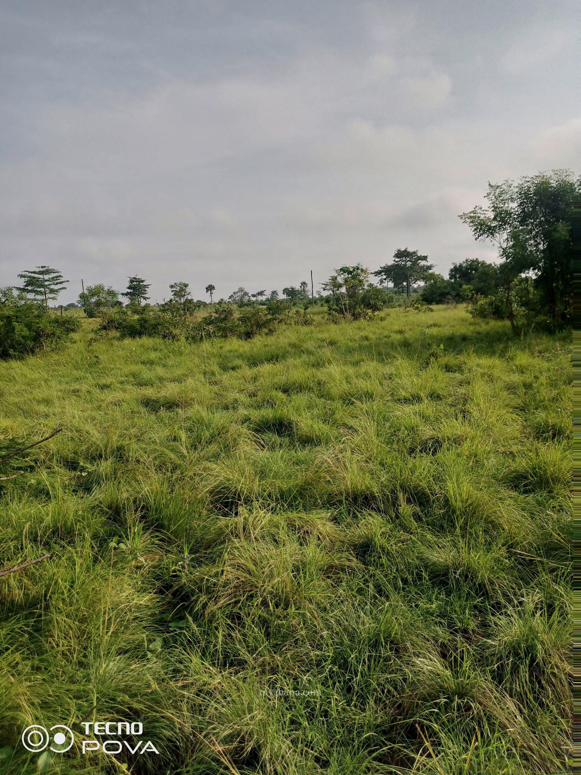 Farm land for lease
