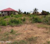 Registered Land for sale at Otsebleku