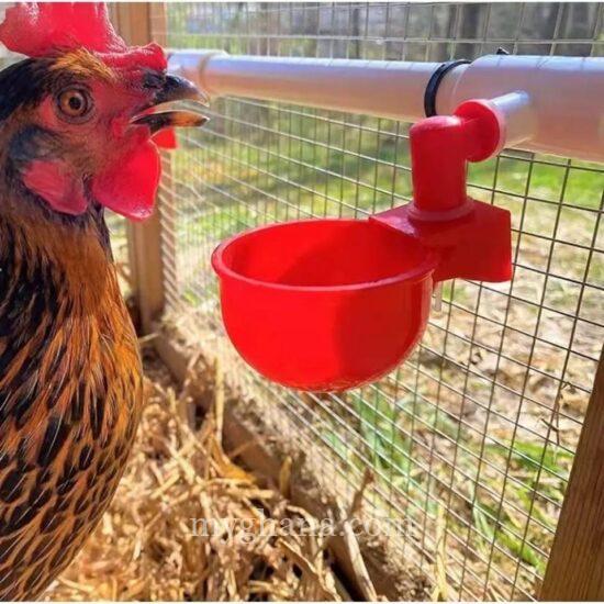 Poultry water cup