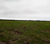 GOOD OFFERS ON EXTENSIVELY SERVICED RESIDENTIAL PLOTS AT TSOPOLI