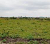 GOOD OFFERS ON EXTENSIVELY SERVICED RESIDENTIAL PLOTS AT TSOPOLI