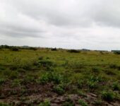 MASSIVE PROMO SALES ON WELL DEMARCATED FULL PLOTS AT TSOPOLI