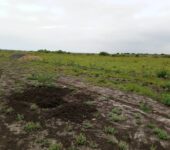GOOD OFFERS ON EXTENSIVELY SERVICED RESIDENTIAL PLOTS AT TSOPOLI