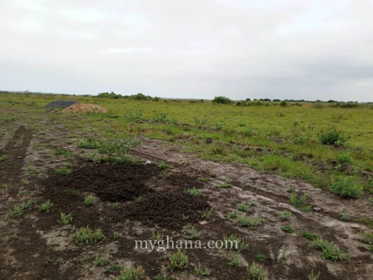 GOOD OFFERS ON EXTENSIVELY SERVICED RESIDENTIAL PLOTS AT TSOPOLI