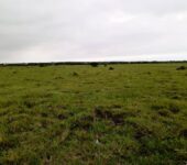 GOOD OFFERS ON EXTENSIVELY SERVICED RESIDENTIAL PLOTS AT TSOPOLI