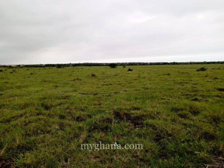 GOOD OFFERS ON EXTENSIVELY SERVICED RESIDENTIAL PLOTS AT TSOPOLI