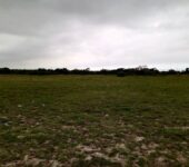 MASSIVE PROMO SALES ON WELL DEMARCATED FULL PLOTS AT TSOPOLI