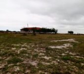 GOOD OFFERS ON EXTENSIVELY SERVICED RESIDENTIAL PLOTS AT TSOPOLI