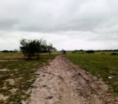 GOOD OFFERS ON EXTENSIVELY SERVICED RESIDENTIAL PLOTS AT TSOPOLI