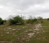MASSIVE PROMO SALES ON WELL DEMARCATED FULL PLOTS AT TSOPOLI