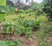 100/120 plot of land for sale