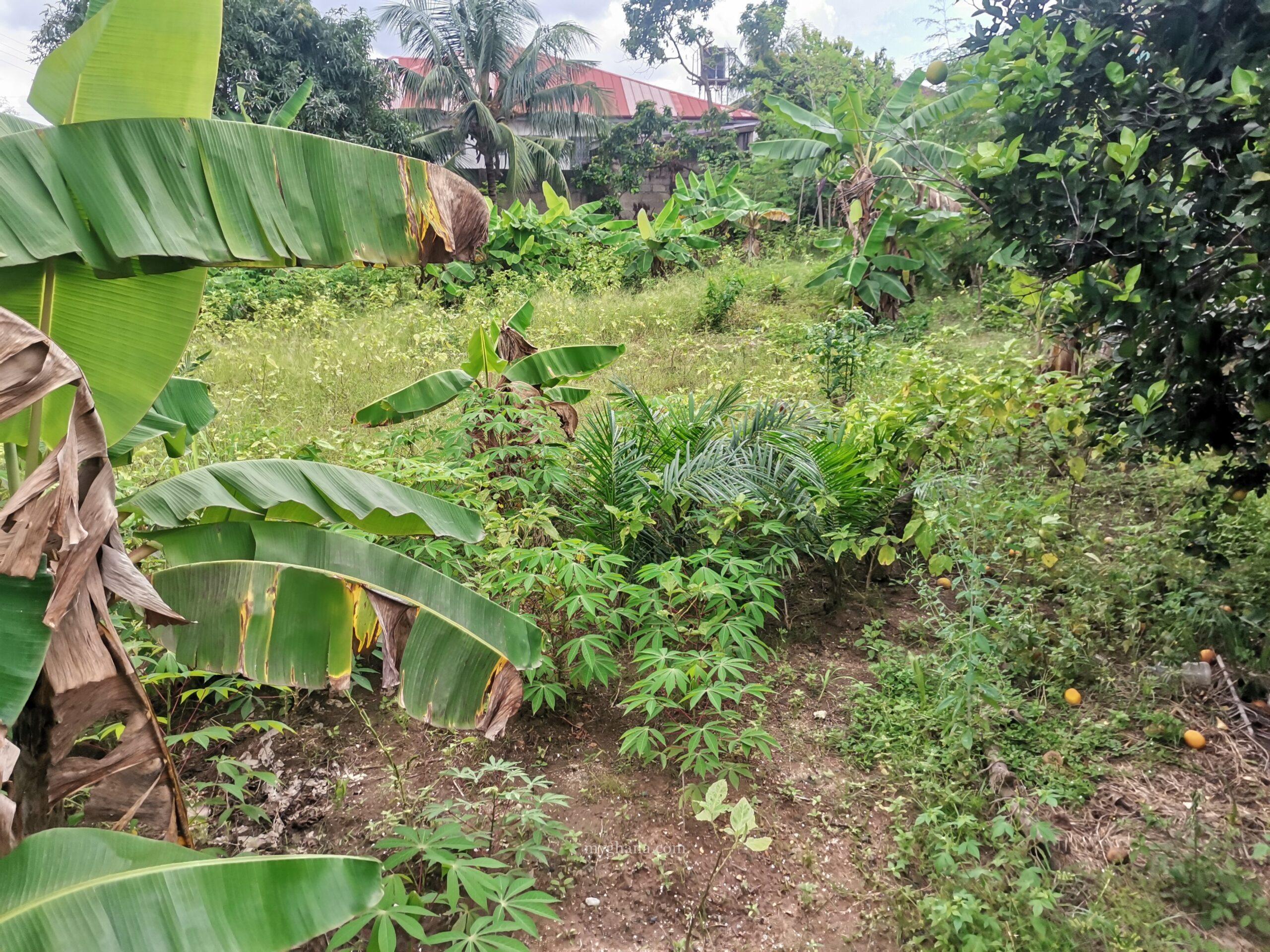 100/120 plot of land for sale