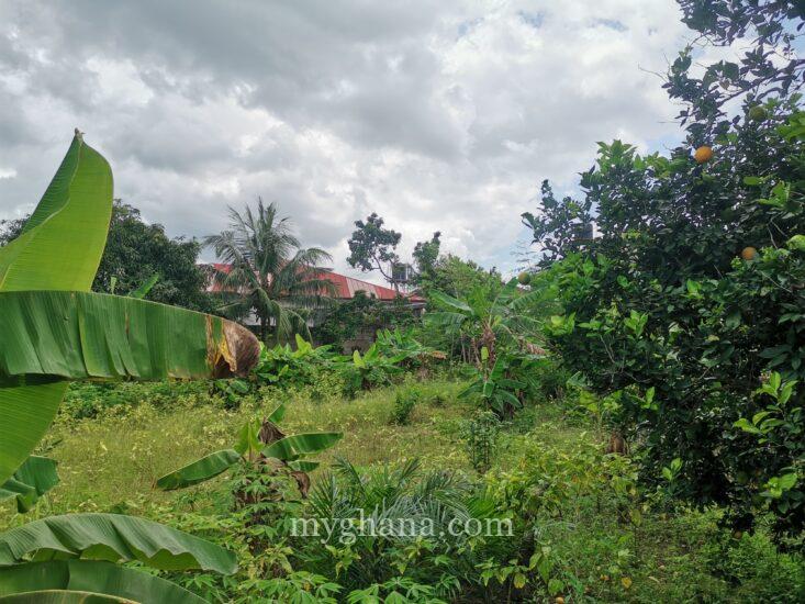 100/120 plot of land for sale