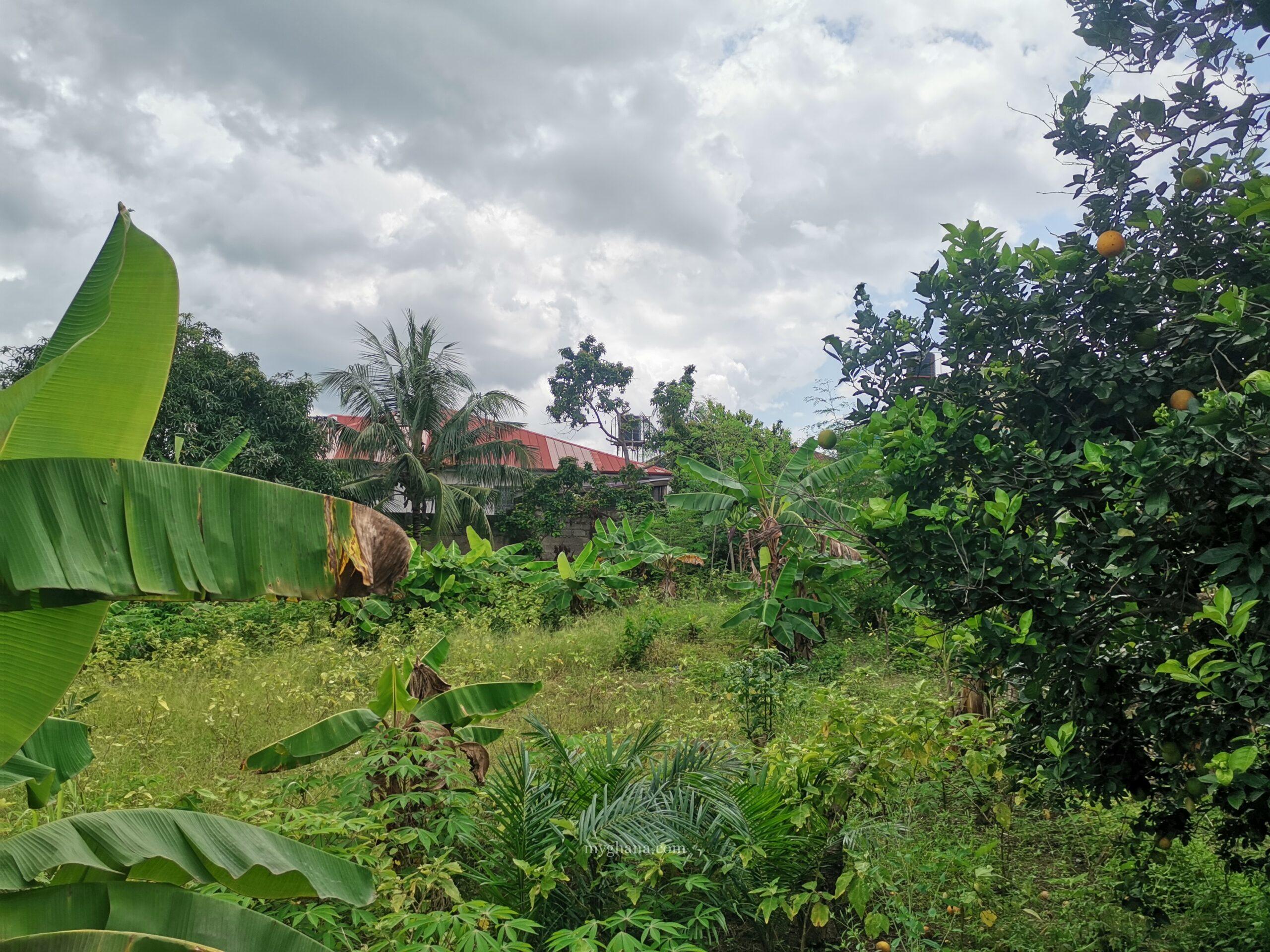 100/120 plot of land for sale