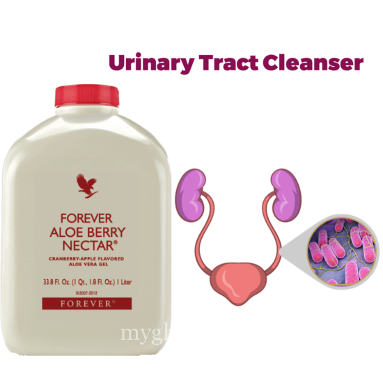 Urinary Tract Cleanser/ Forever Living Aloe Berry Nectar