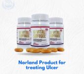 Norland GI Vital Softgel – Fight All Forms Of Ulcers