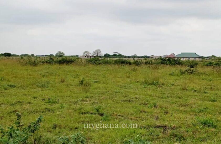 5 acre land for sale