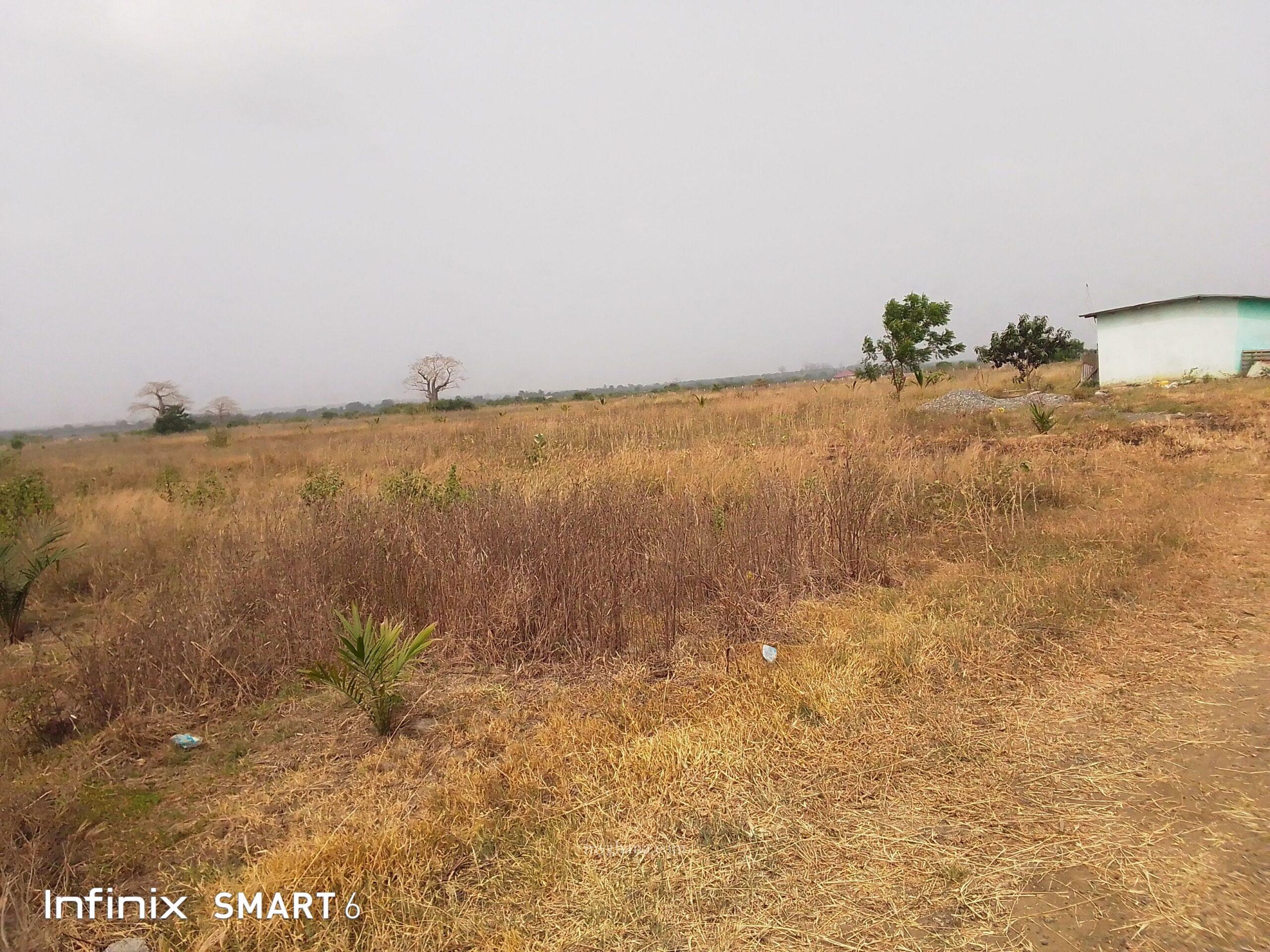 29 acres registered land for sale at shai-hills