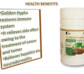 Kedi Golden Hypha For Effective Immune Booster – 90 Capsules