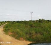 REGISTERED ROADSIDE LAND FOR SALE:-