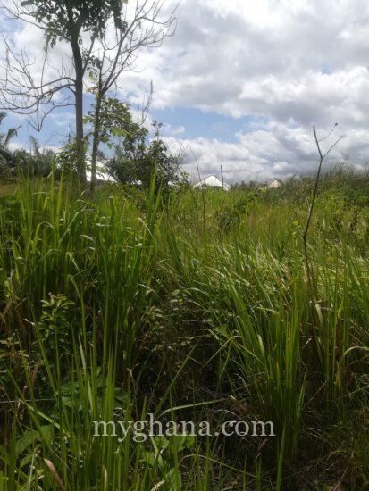 Plot of land at Ejisu for sale