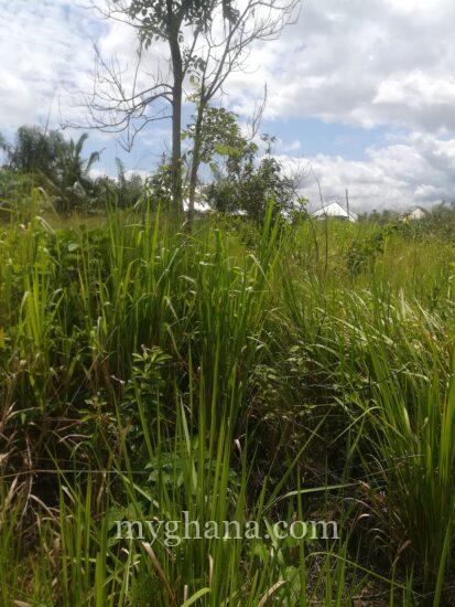 Plot of land at Ejisu for sale