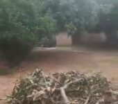Title land 0.42 acres for sale at East Legon, ARS