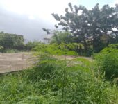 Land for sale at tantra hills