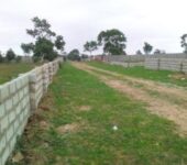 Oyibi Dodowa main road. 2 plots walled & gated FOR SALE
