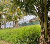 BEACHFRONT LAND FOR SALE AT MUMFORD NEAR APAM