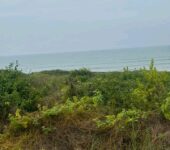 Direct Beachfront Lands @ Senya Breku