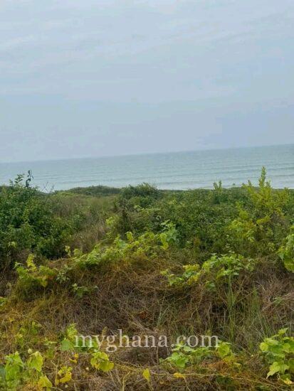 Direct Beachfront Lands @ Senya Breku